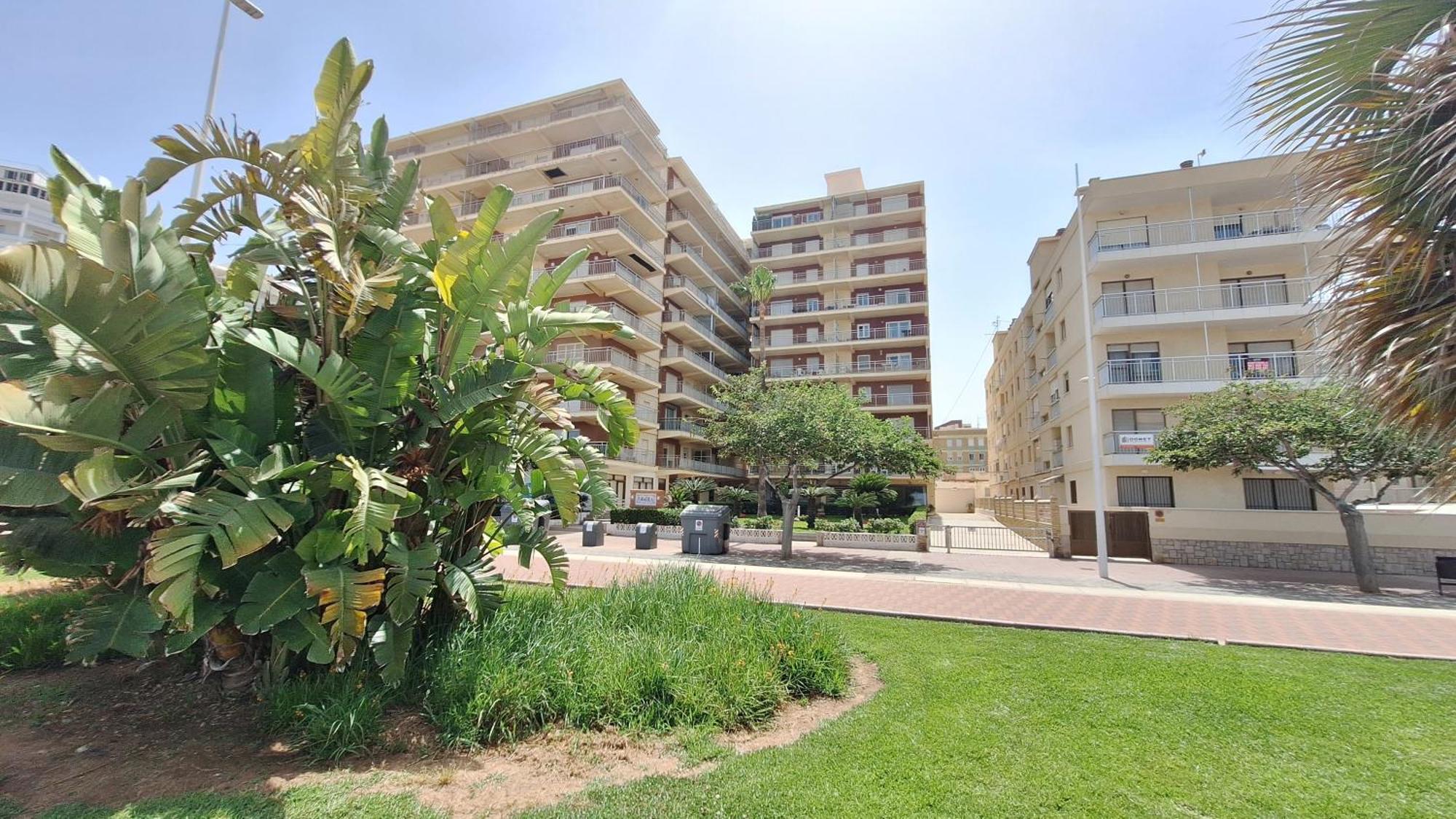 Primera Linea Caracola View *